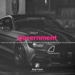 government