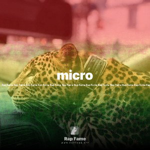micro