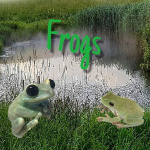 Frogs