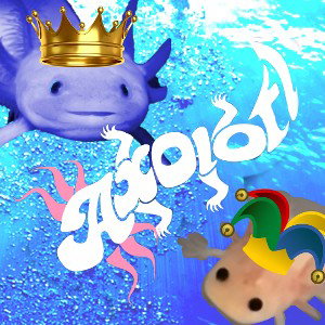 Axolotls