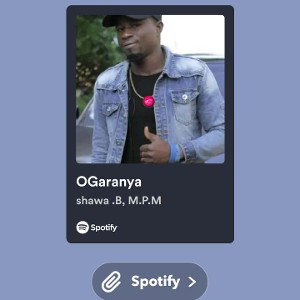 Instagram raptech