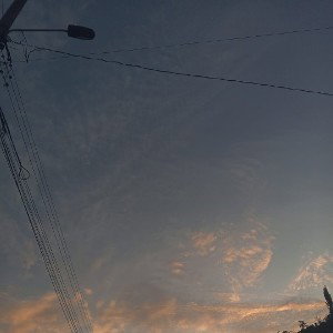 6 nov_ 10.20 a. m.​