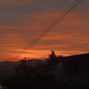 9 nov_ 8.29 a. m.​