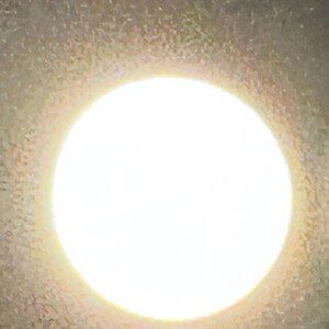 harvest moon