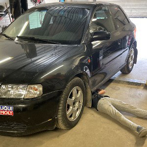 Audi vennad