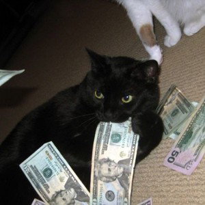 ?!purr?!