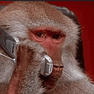 You Don’t Have To Call My Phone 