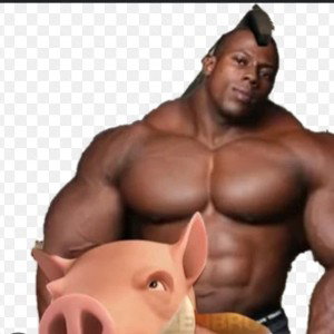 hog ridaaaaa