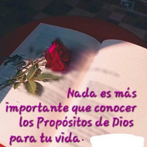 verderas poesía =poeta