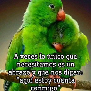 bellas ecenenas de mí vida cuando contigo maynati d.m yo vivia