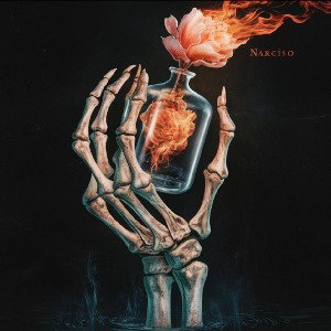 Narciso