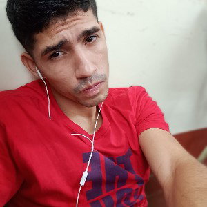 pa los par de cerdos del cerdo mayor 