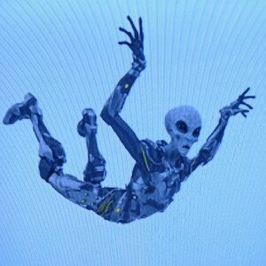 "A 'U.F.O.' DOWN!!!![Unidentified Fallen Object]"