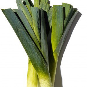gartengnom 
