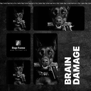 brain damage 