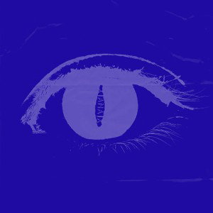 RAKAS TYTTÖYSTÄVÄ  (Slowed + Reverb)