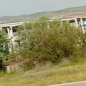 Deli sanın