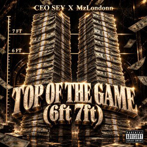 Top of the Game (6ft 7ft)