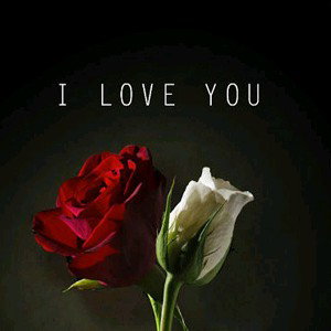 Love (JB)