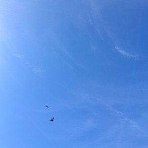 ABOVE THE GROUND 