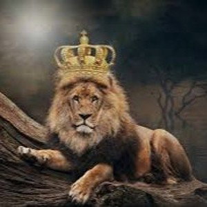 King of the jungle