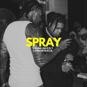 Spray