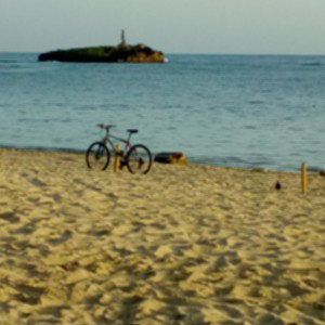 M Dreams