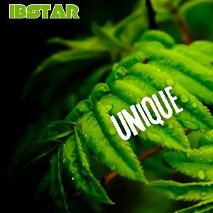 Unique ( Son Officiel )
