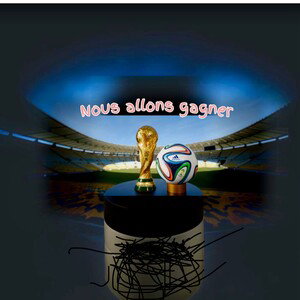 coupe du monde 🌎 