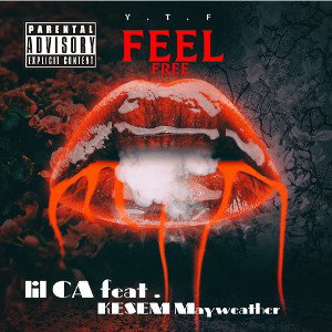 Feel free