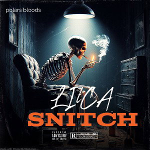 snitch 