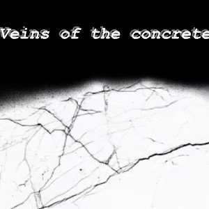 Veins of the concrete