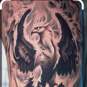 PHOENIX 