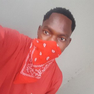 tonygenius loaded