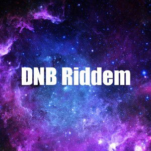  DNB Riddem