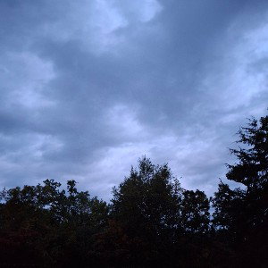 fall away