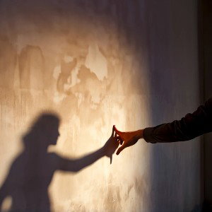 shadows