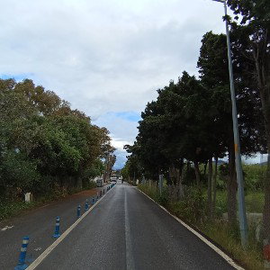 DÜŞLER