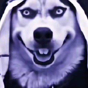 Fame (a jaymo kage rap)