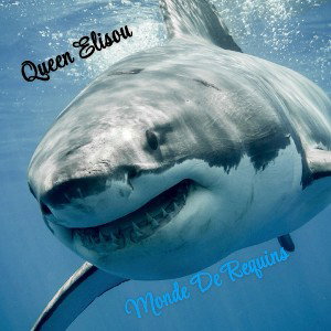 Monde De Requins