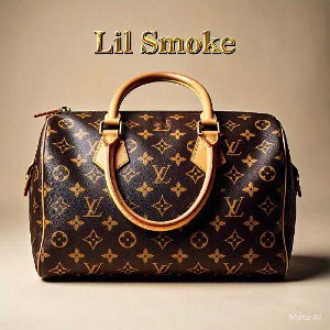 Loui V bag