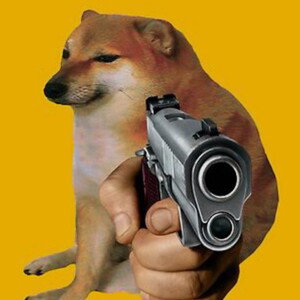 DOGE TWIN