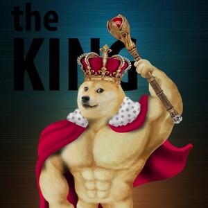Doge mode
