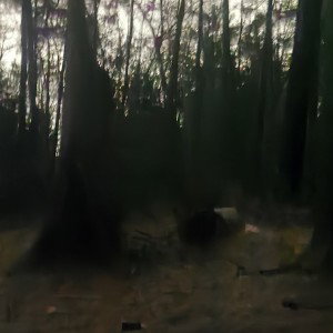 Rushing 