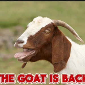 the goat is back