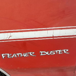feather duster