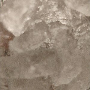 p0 L. ice
