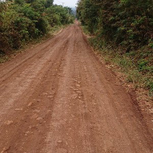 long way 