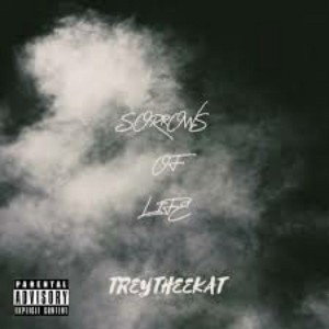 SORROWS OF LIFE