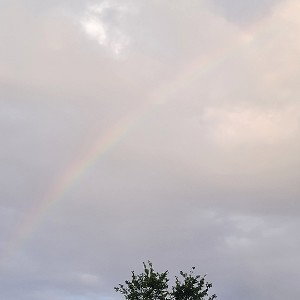 LGBT*